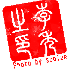 Photo by soolee